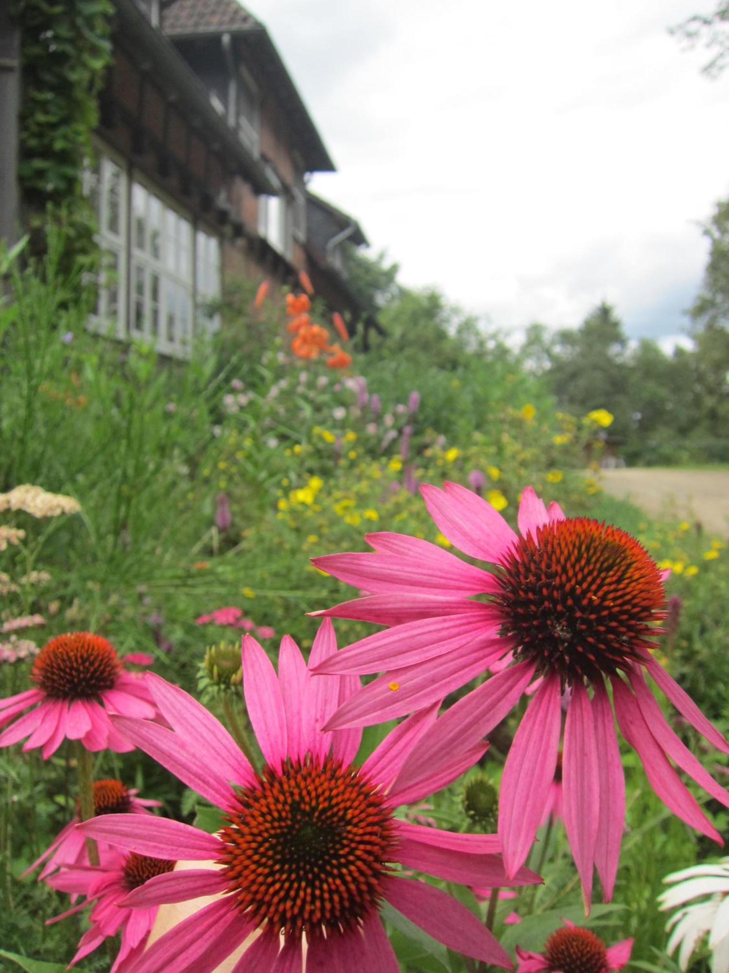 Bed and Breakfast Haus Heidetal Bispingen Exteriér fotografie