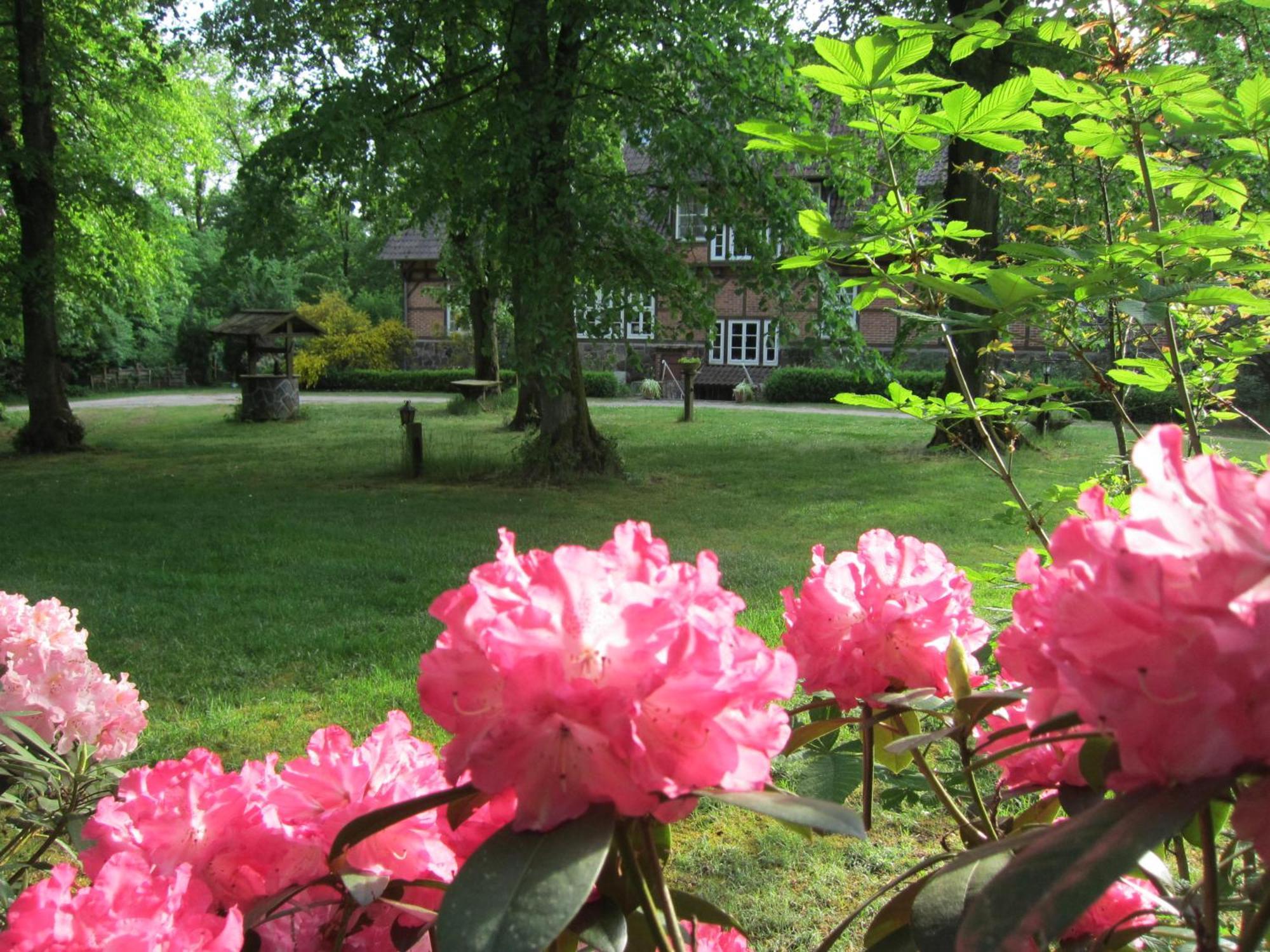 Bed and Breakfast Haus Heidetal Bispingen Exteriér fotografie