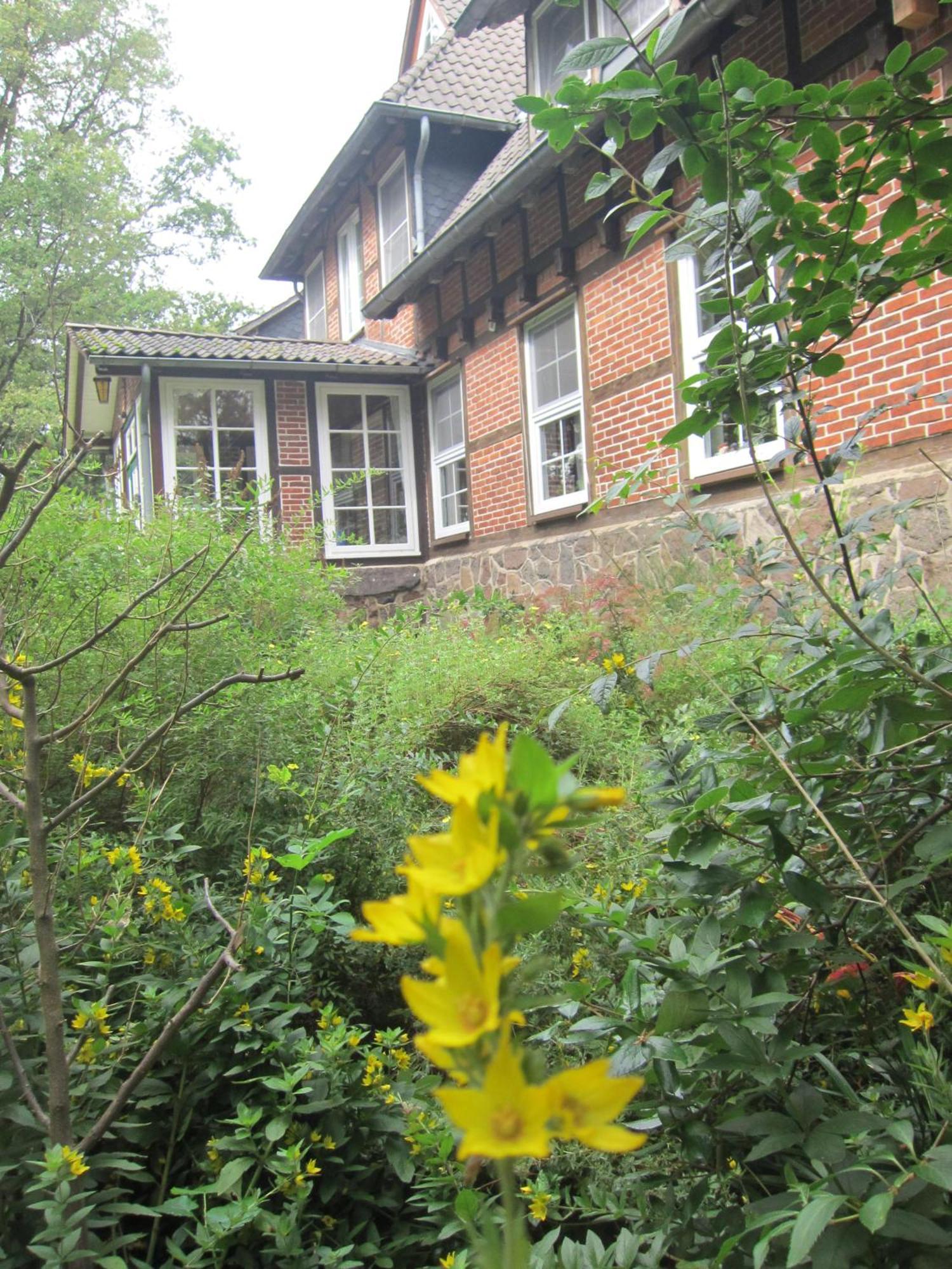 Bed and Breakfast Haus Heidetal Bispingen Exteriér fotografie
