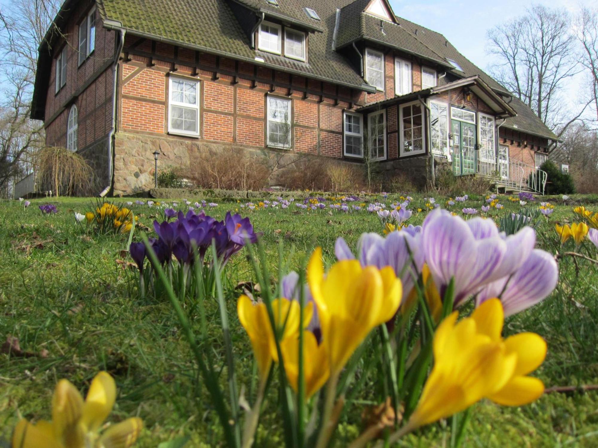 Bed and Breakfast Haus Heidetal Bispingen Exteriér fotografie